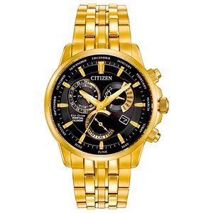 Gold Citizen Eco Drive 8700 Caliber Dress Watch